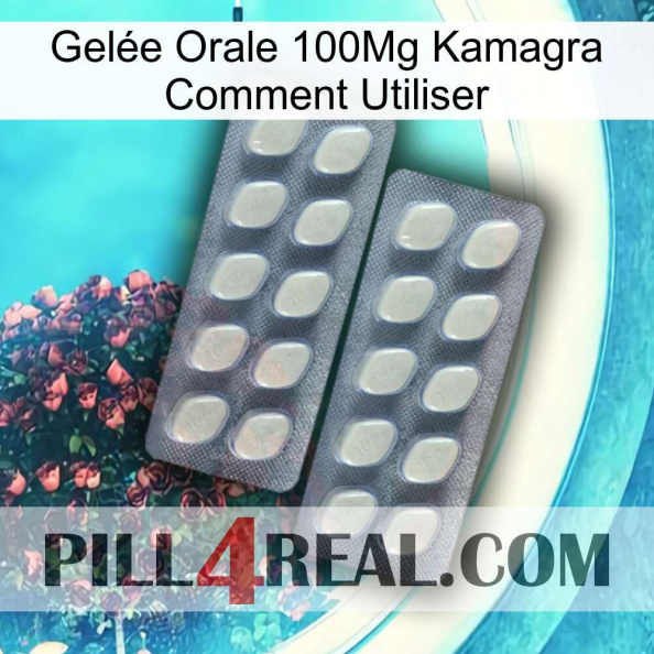 Gelée Orale 100Mg Kamagra Comment Utiliser 07.jpg